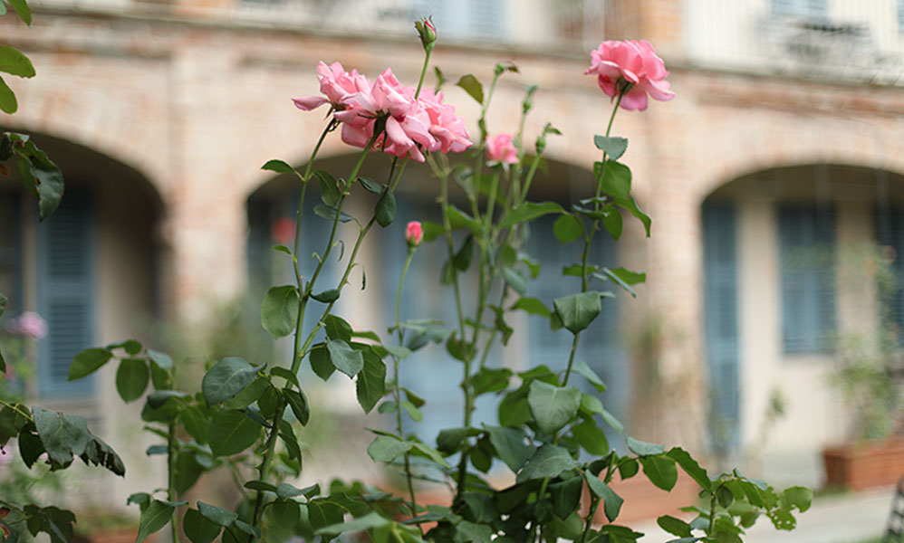 agriturismo-verduno-langhe