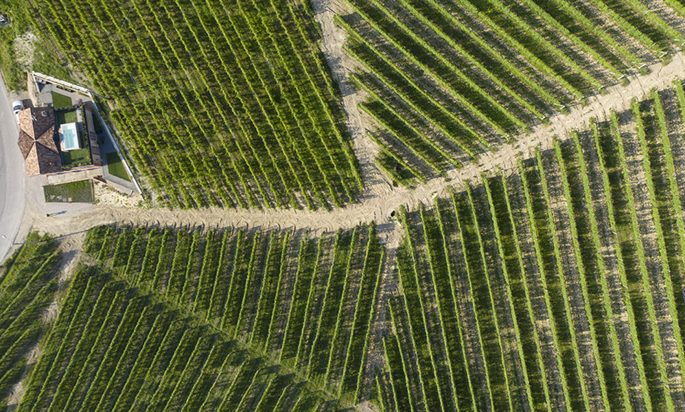 barolo-vacanze-villa