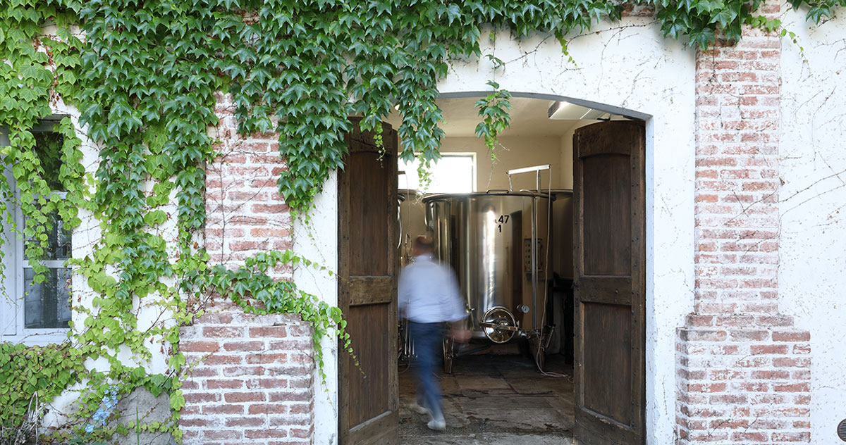 filosofia-cantina-vigna