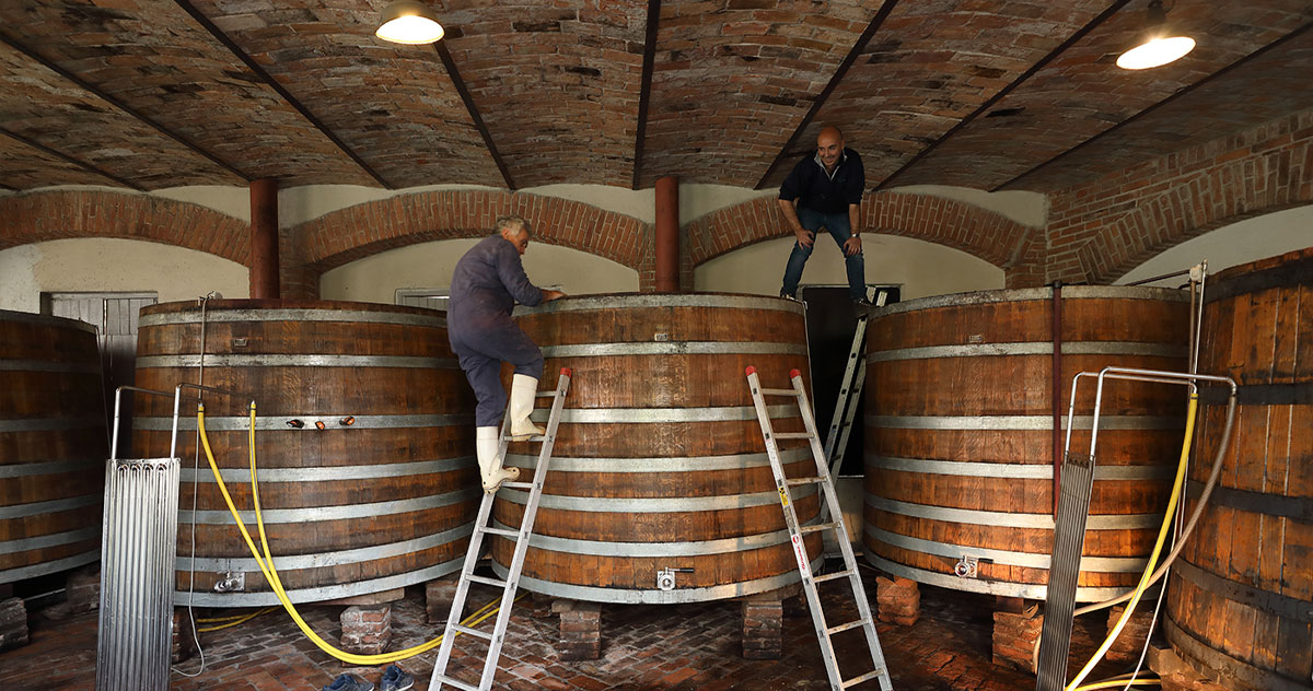 lavori-cantina-langhe